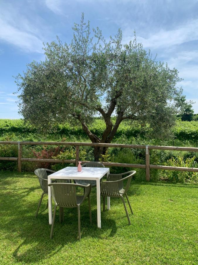 Residenza Vesentini Bed and Breakfast Pastrengo Eksteriør billede