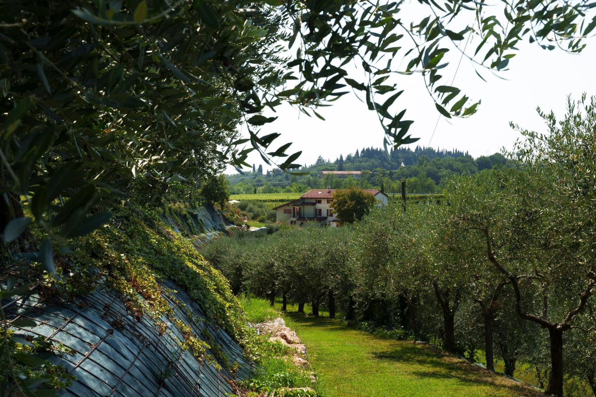 Residenza Vesentini Bed and Breakfast Pastrengo Eksteriør billede